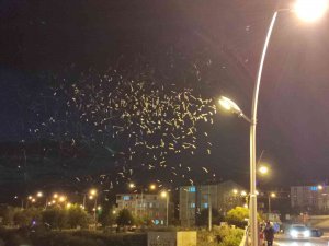 ’’Birgün’’lük Ölüm Dansı