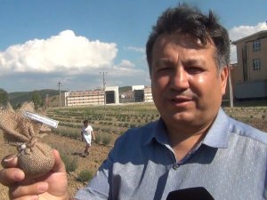 ’Lavanta Bahçesi İçerisinde Bir Okul’ Sloganı İle Adından Söz Ettirecek