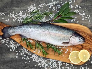 Ege Bölgesi’nde Su Ürünleri Ve Hayvansal Mamuller İhracatı 1,5 Milyar Doları Aştı