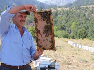 Büyükşehir Serikli Arıcıların Yüzünü Güldürdü