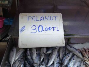 Sezonun İlk Palamutları 30 Liradan Tezgâhlarda