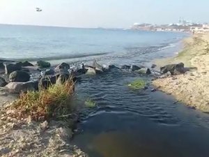 Kınıklı Deresinden Marmara Denizine Simsiyah Akan Pis Sular Böyle Görüntülendi