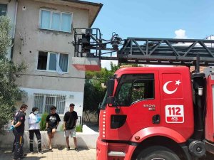 Nazilli’de Apartmanı Saran Kokunun Nedeni Ceset Çıktı
