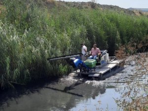 Tekirdağ’da Yağmur Sineği Operasyonu