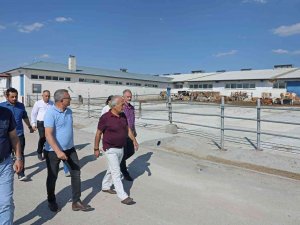 Rektör Çomaklı, Hafta Sonu Mesaisini Üniversitede Değerlendirdi