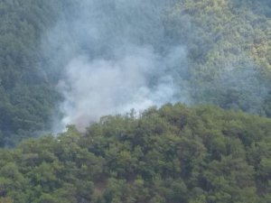 Kazdağları’nda Orman Yangını