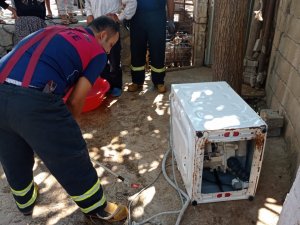 İ̇kamet Bahçesinde Yılan Yakalandı