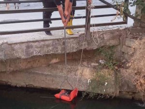 Sulama Kanalına Düşen Yavru Kedi Kurtarıldı