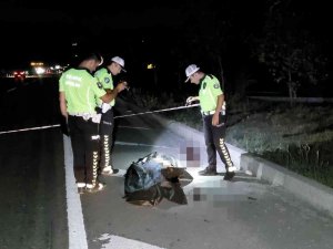 Yol Kenarında Katı Atık Toplarken Kazada Hayatını Kaybetti