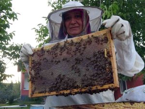 Yozgat’ta Yağışlar Bal Üreticisinin Yüzünü Güldürdü