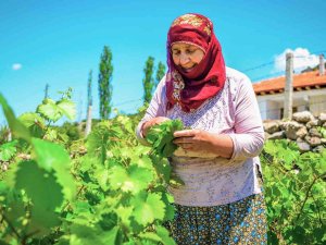 Coğrafi İşaretli Lezzet 400 Milyon Liralık Girdi Sağlayacak