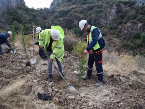 Yk Enerji Son 3 Yılda 1 Milyonu Aşkın Fidanı Toprakla Buluşturdu