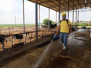 Yüreğir’de Vektörle Mücadele