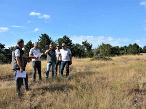 Gediz Muratdağı’na Bal Ormanı