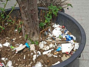 Duyarsız Vatandaşlar Bitki Saksısını Çöplük Yaptı