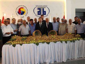 Aydın’da Sezonun İlk Kuru İnciri 350 Liradan Satıldı