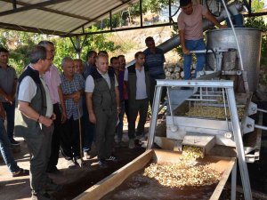 Orman Bölge Müdürü Yalçın, Mut’taki Sahalarda İncelemelerde Bulundu