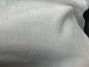 Muratlı’da İki Gündür Aralıksız Kör Sinek Yağmuru