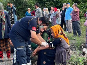 Fındık İşçilerini Taşıyan Traktör Devrildi, İşçileri Yola Saçıldı