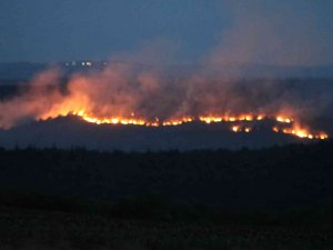 Bulgaristan’daki Yangın Edirne’nin Sınır Köylerine Dayandı: Alevler Ürkütücü Boyuta Ulaşıyor