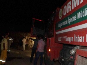 Tarım Arazisinde Çıkan Yangın Büyümeden Söndürüldü