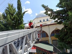 Caminin Kubbesinden Uçamayan Leyleği İtfaiye Kurtardı