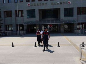 2 Ay Sonra Yine Hırsızlıktan Yakalandı, Cezaevine Geri Döndü