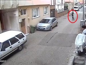 Bursa’da Başıboş Sokak Köpeği Kursa Giden Kız Çocuğunu Böyle Isırdı