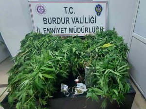 Burdur’da Seraya Uyuşturucu Operasyonu: 1 Tutuklama