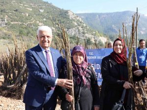 Büyükşehirden Fidan Ve Tohum Desteği