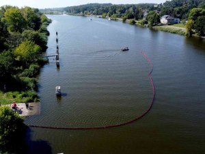 Polonya’nın Oder Nehri’nden 100 Ton Ölü Balık Çıkarıldı