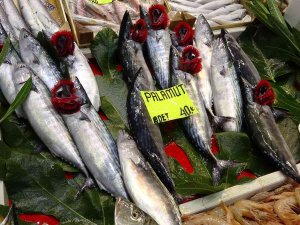 Çanakkale’de Sezonun İlk Palamutları Tezgaha Çıktı