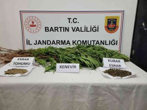 Jandarmadan Uyuşturucu Operasyonu; 1 Gözaltı
