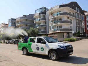 Mudanya’da Sinekle Mücadele