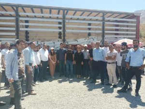 Sason’da Arıcılara 42 Ton Şeker Desteği