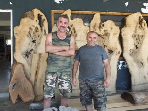 Balıkesir’de Atık Ağaçlar Maharetli Ellerde Sanat Eserine Dönüşüyor