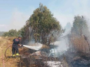 Tarım Arazinde Çıkan Yangın Kontrol Altına Alındı