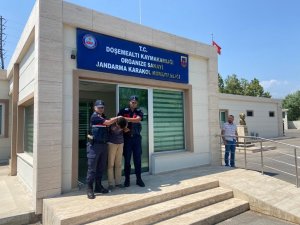 Boşanma Aşamasındaki Eşini Öldüren Zanlı Yakalandı