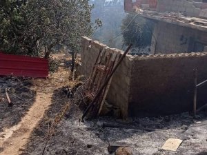 Cezayir’de 26 Noktada Orman Yangını: 2 Ölü, 42 Yaralı