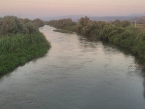 Atıyla Birlikte Nehre Giren Genç Kayboldu