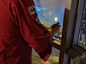 Cam Kenarında Kalan Kediyi Akut Eskişehir Gönüllüleri Kurtardı