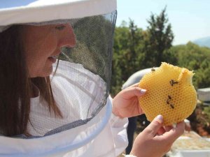 İ̇lk Hasat Heyecanı