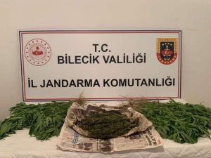 Motosikletinde Yarım Kilodan Fazla Esrarla Yakalandı