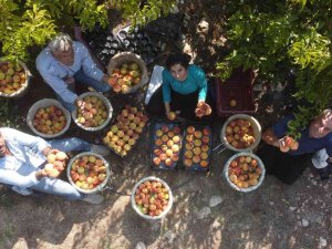 Üreticide 2 Tl 30 Kuruş, Marketlerde 13-14 Tl