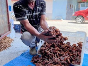 Organik Gün Kurusu Kayısının Tanesi 2 Tl