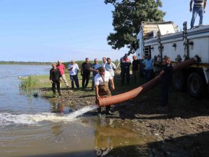 Baraj Göllerine 2,5 Milyon Sazan Yavrusu
