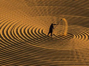 En Güzel Hasat Mevsimi Fotoğrafları Aranıyor