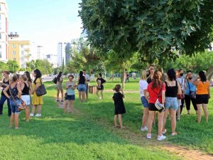 Antalya’da Köpek Ve Kedi Zehirlenmeleri Hayvanseverleri Ayaklandırdı