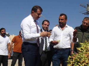 Şanlıurfa’da Binlerce Çiftçiyi Heyecanlandıran Proje