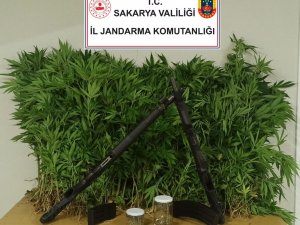 Sakarya’da Uyuşturucu Operasyonu: 2 Gözaltı